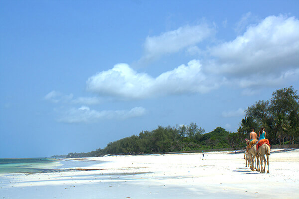 Sports tours to Kenya