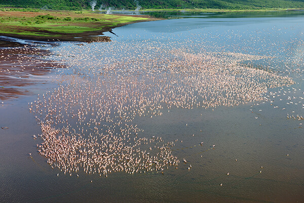 Sports tours to Kenya