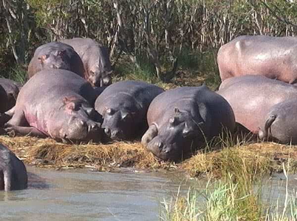 inspiresport-south-africa-sportstour